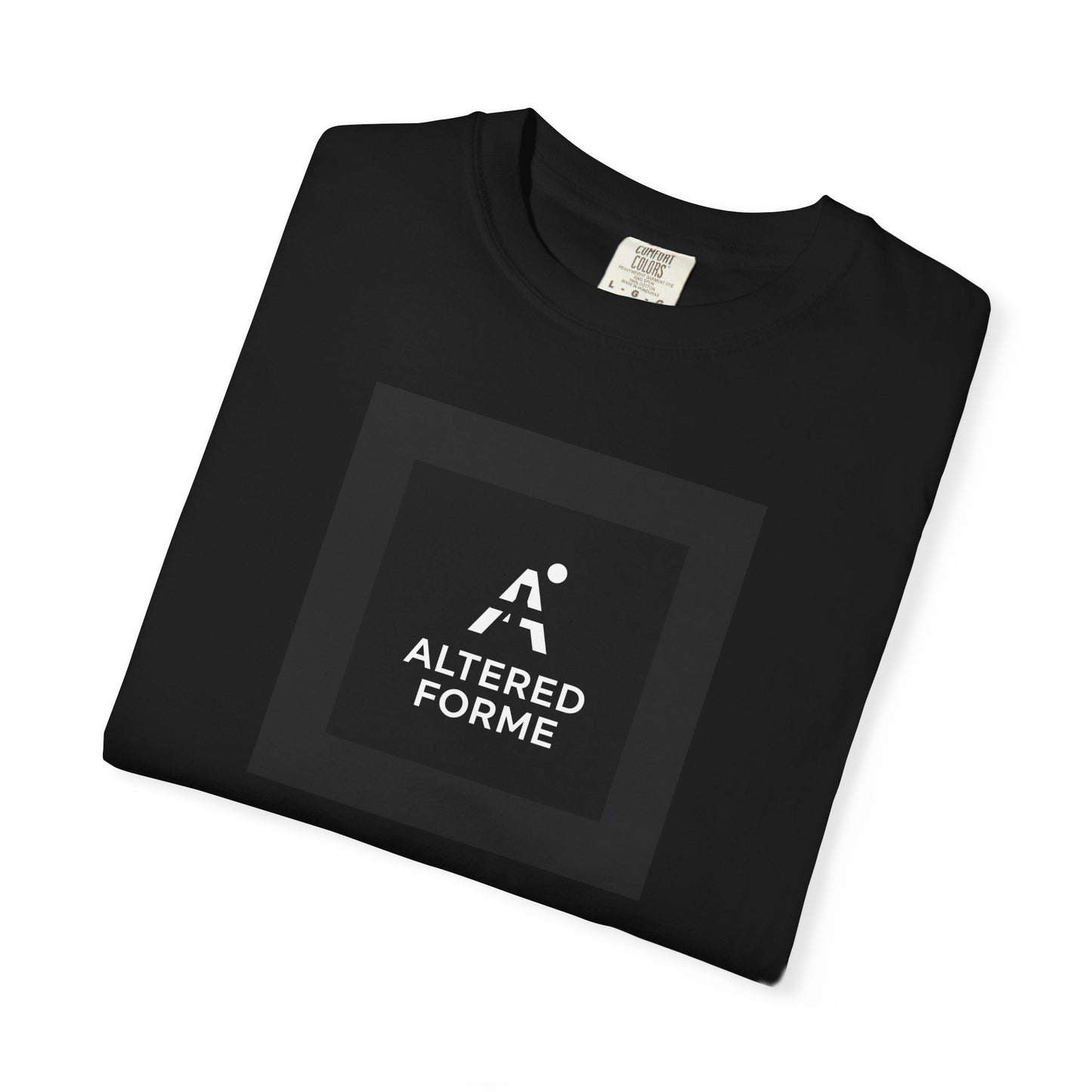 Altered Forme Garment-Dyed Logo T-Shirt — Black Graphic Tee