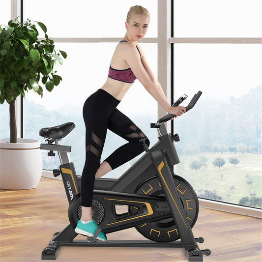 Indoor/Outdoor Aerobic Exercise Bicycle